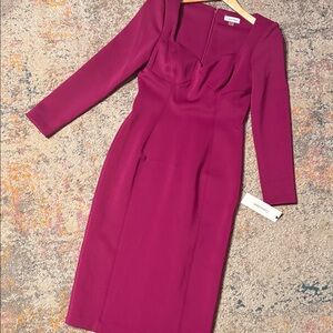 NWT Calvin Klein Fuchsia Long Sleeve Dress 6